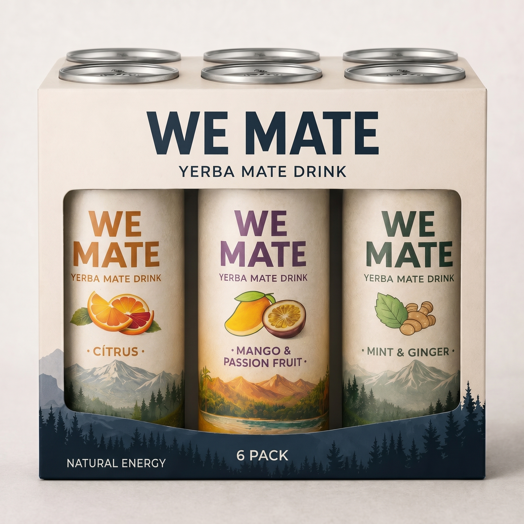 We Mate Mix Pack — 24 cans (Mint, Citrus & Mango)